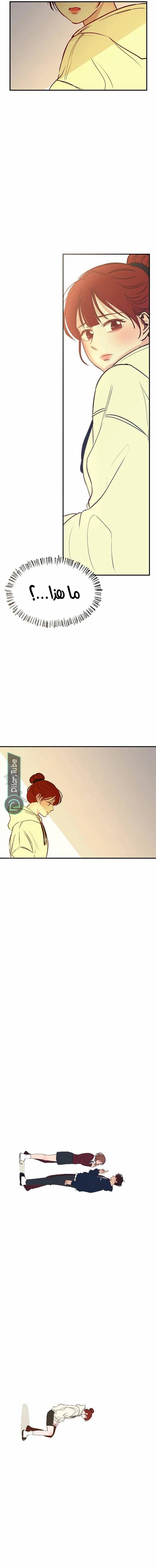الصفحة 11