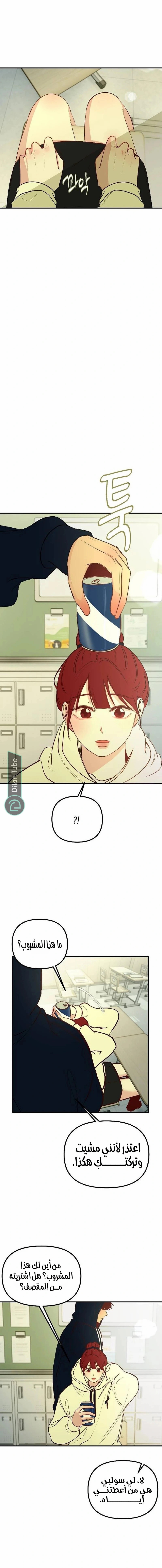 الصفحة 12