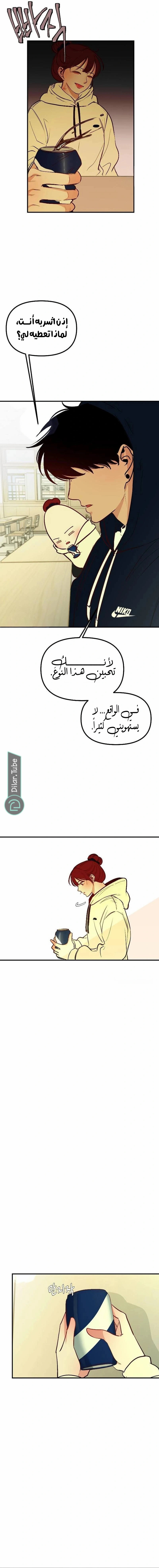 الصفحة 13
