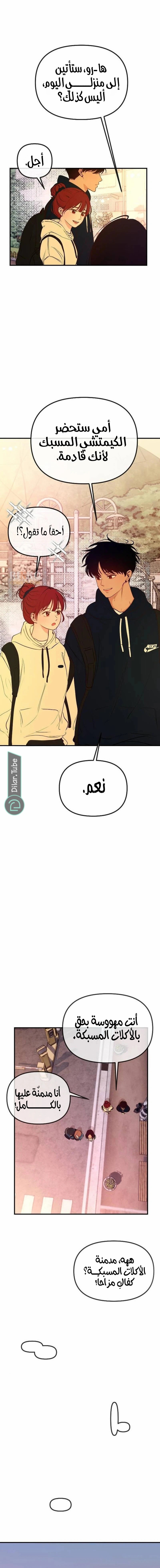 الصفحة 16
