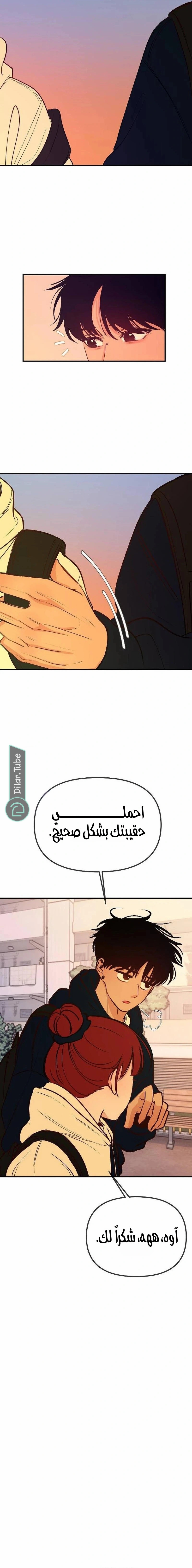الصفحة 17