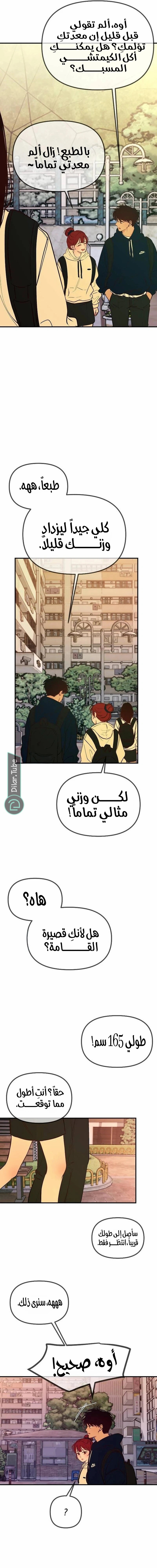 الصفحة 18