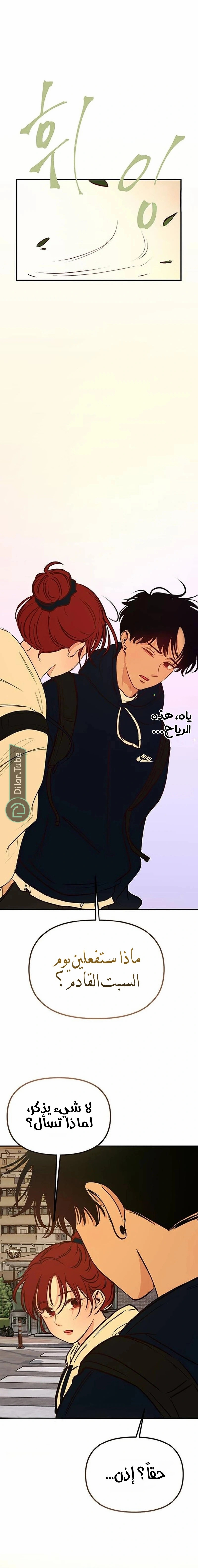 الصفحة 19