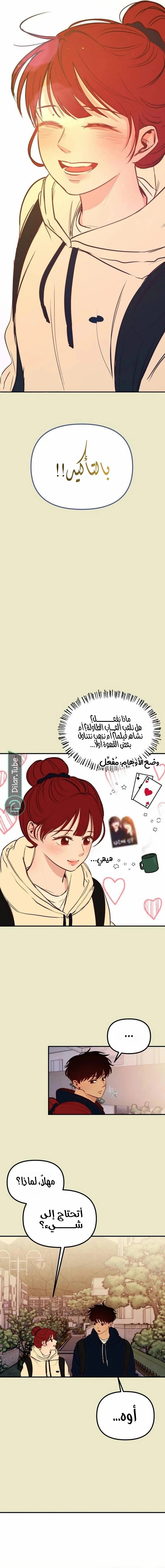 الصفحة 7