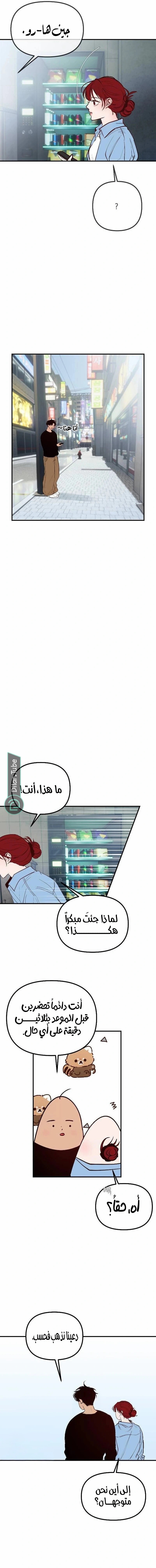 الصفحة 11