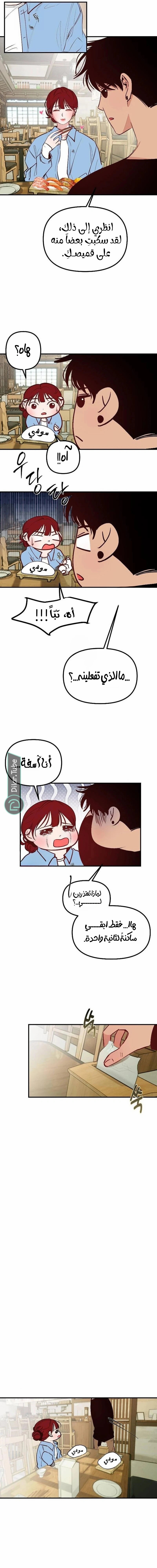 الصفحة 13
