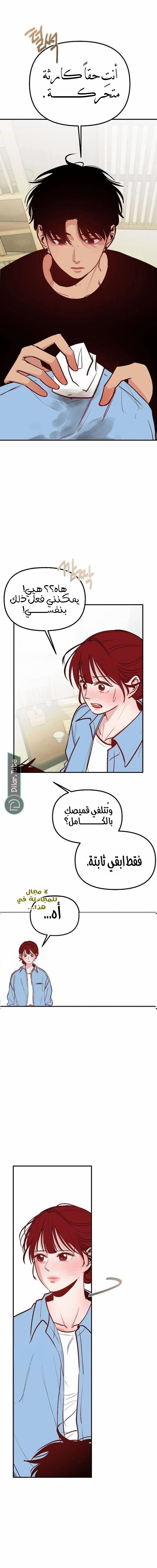 الصفحة 14