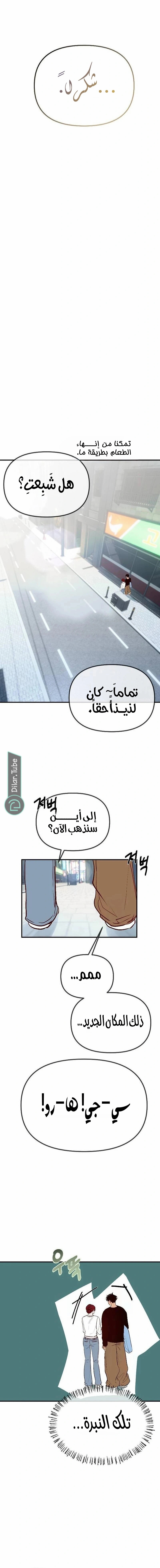 الصفحة 15