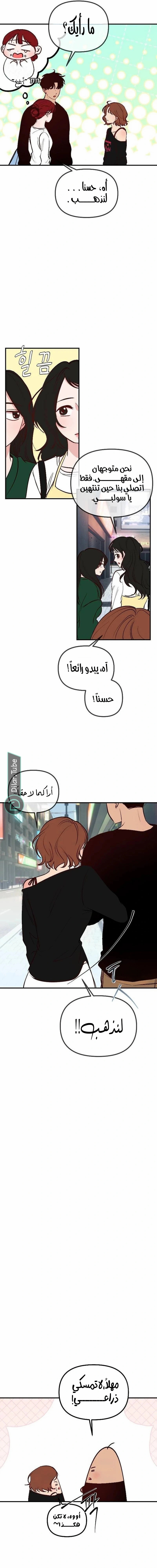 الصفحة 17