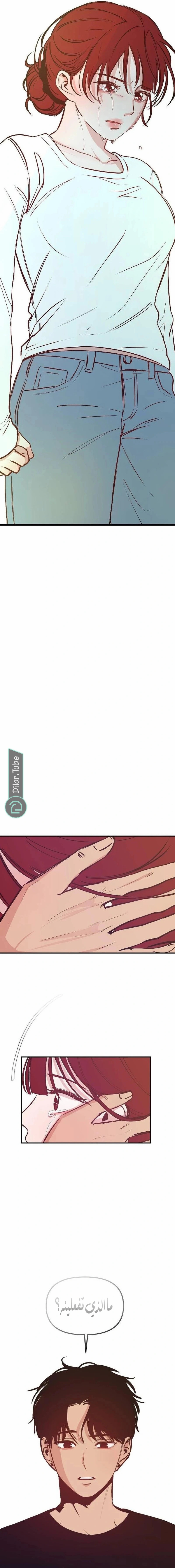 الصفحة 21