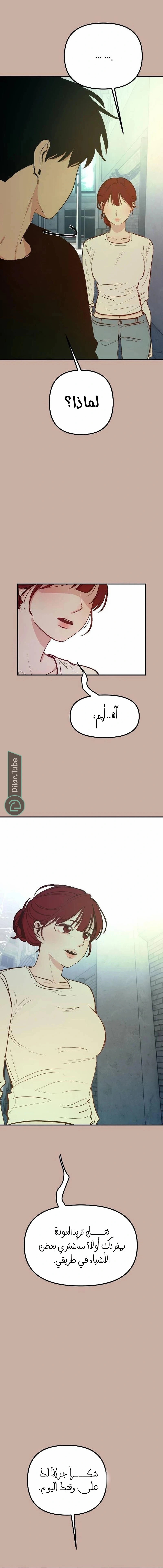 الصفحة 3