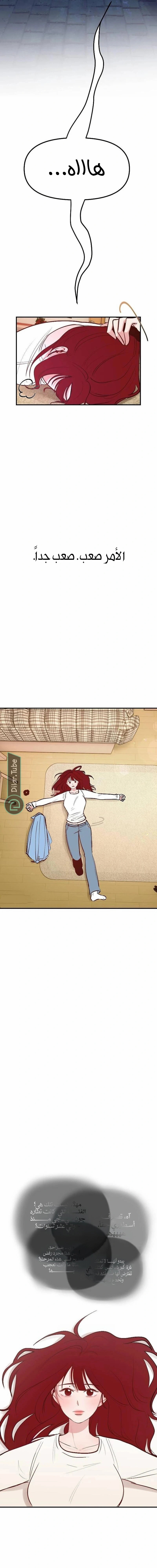 الصفحة 5