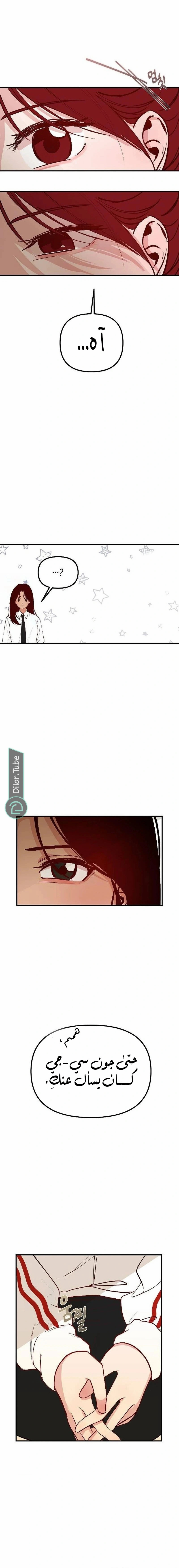 الصفحة 10