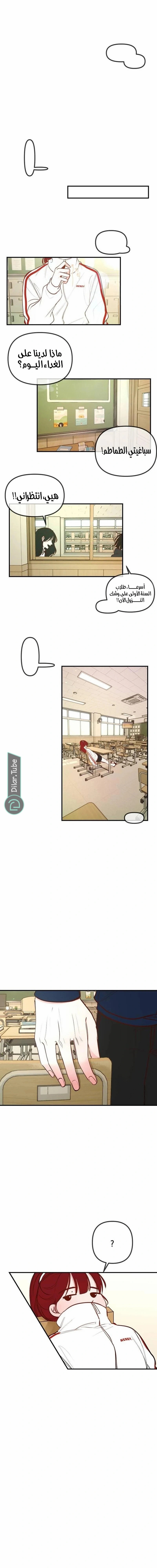 الصفحة 13