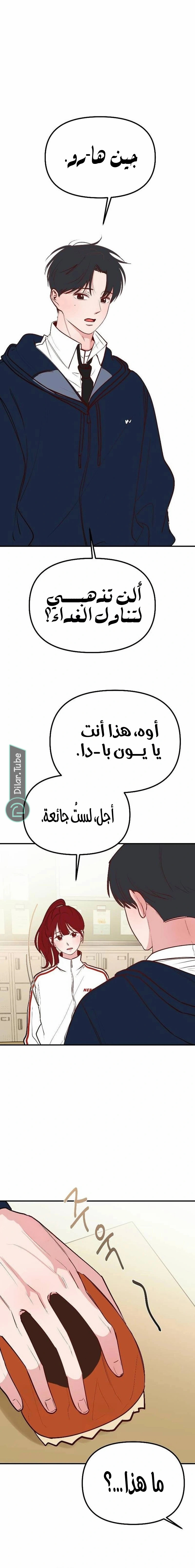 الصفحة 14