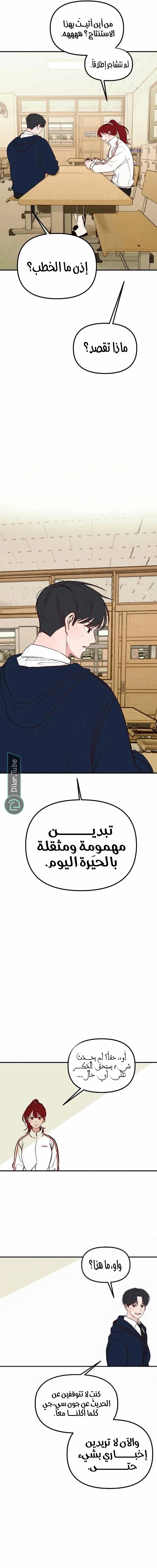 الصفحة 17
