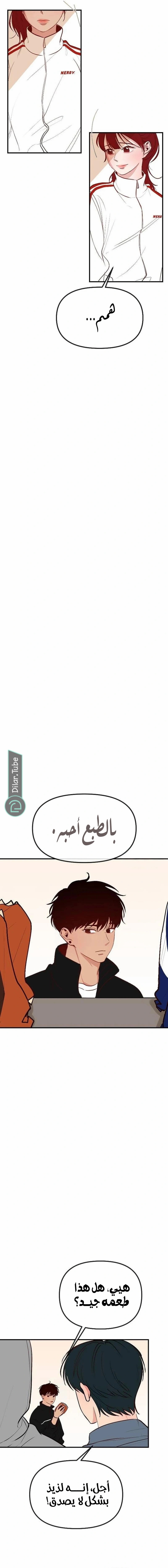 الصفحة 19