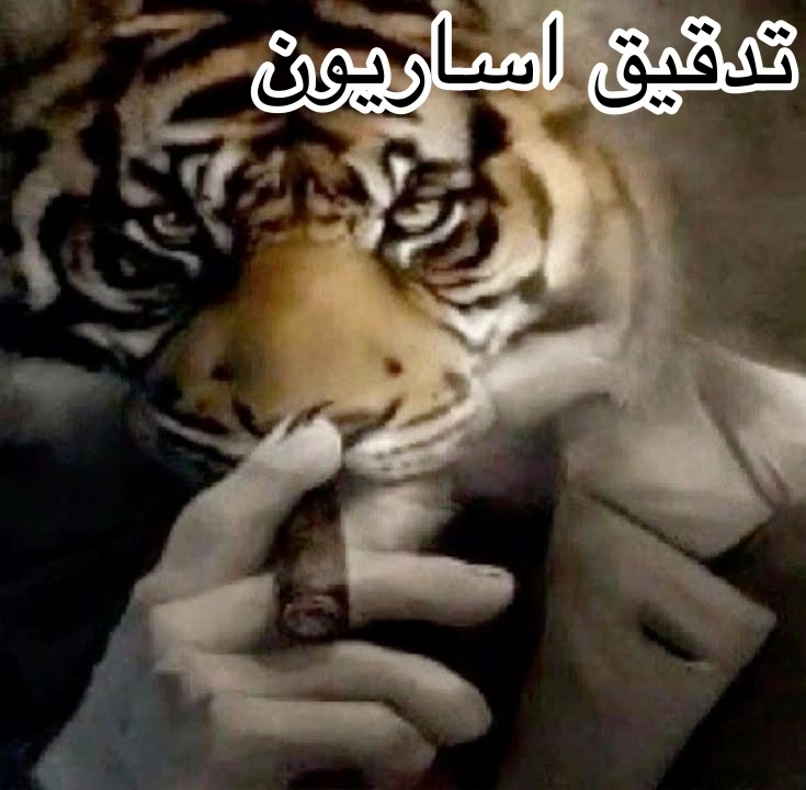 الصفحة 34