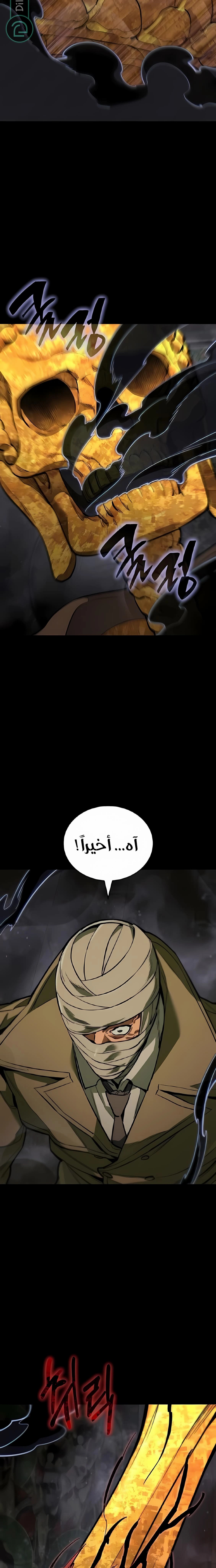 الصفحة 13