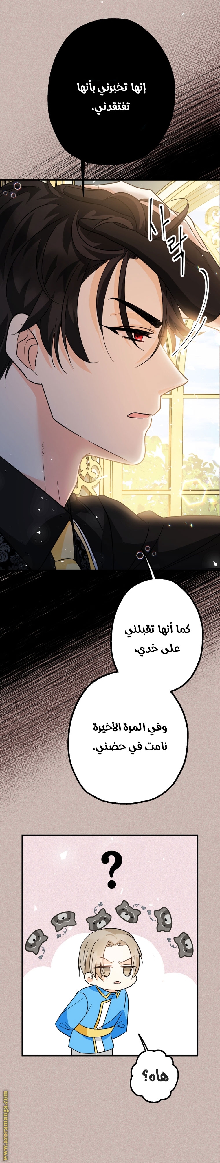الصفحة 29