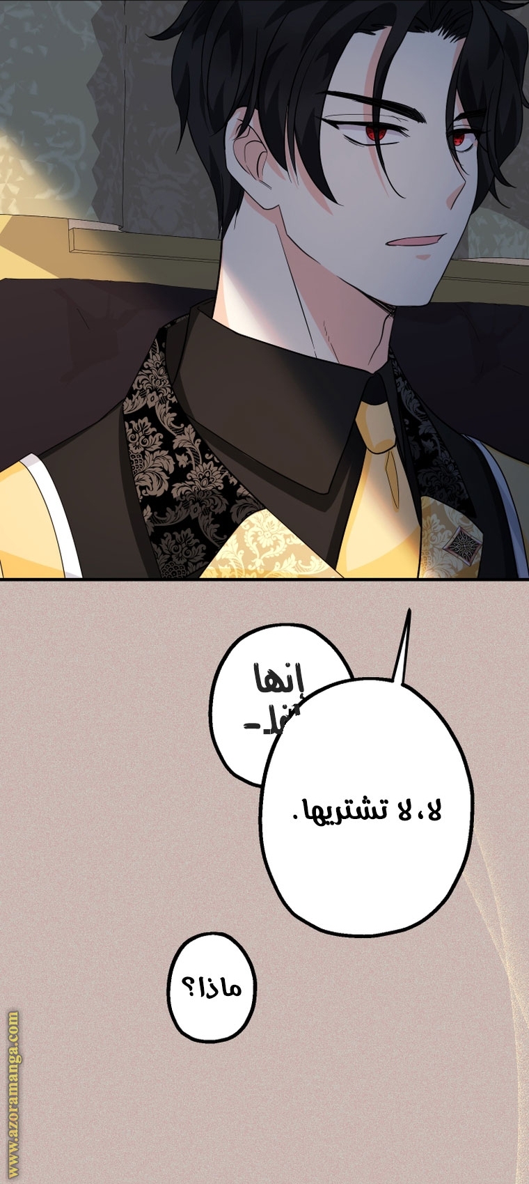 الصفحة 41
