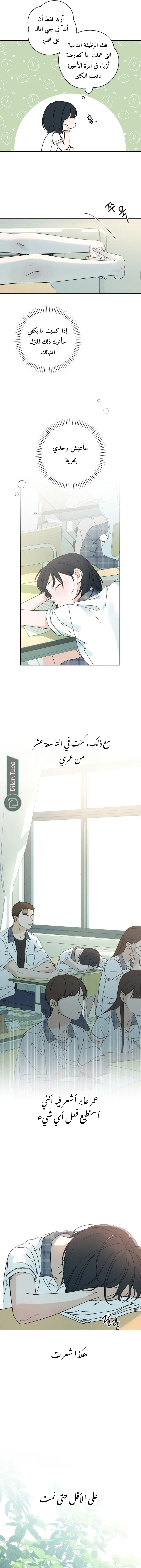 الصفحة 11