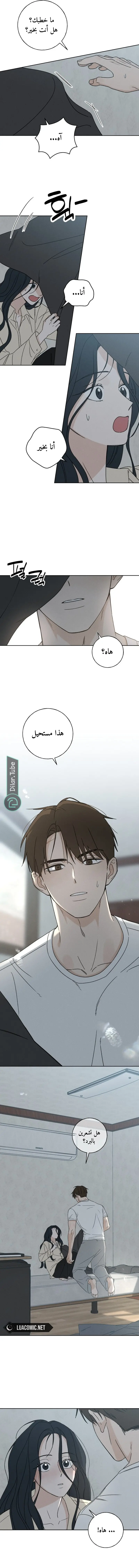 الصفحة 17