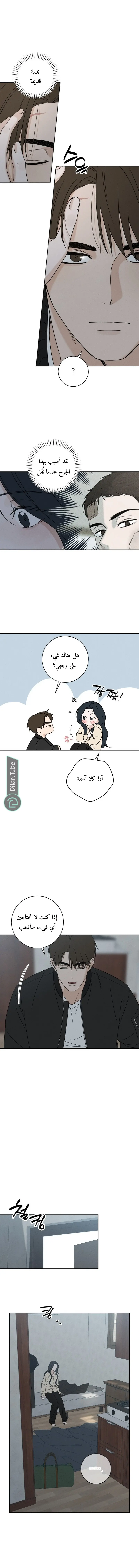 الصفحة 20