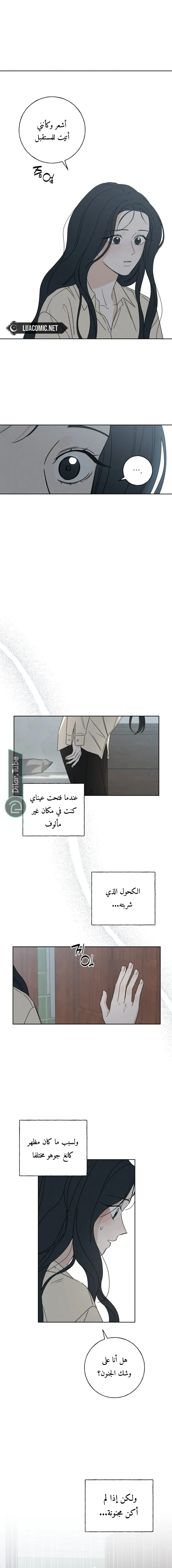 الصفحة 21