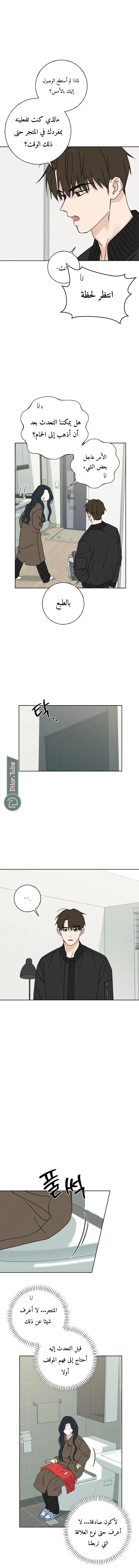 الصفحة 11