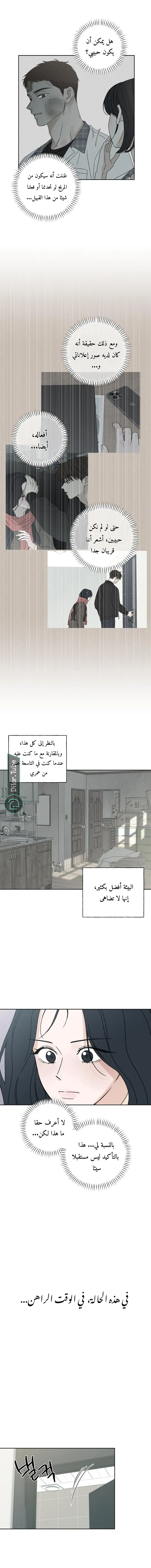 الصفحة 14