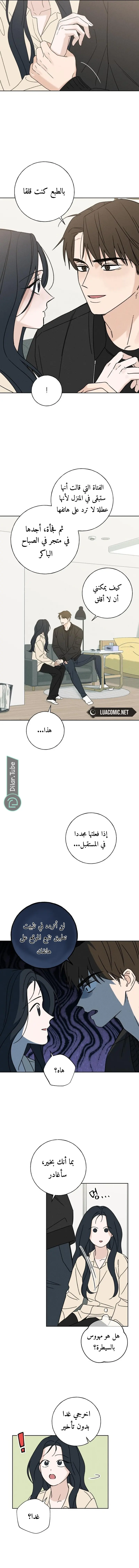 الصفحة 17