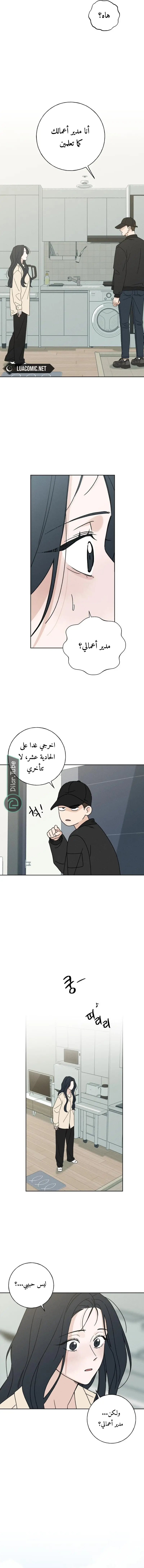 الصفحة 19