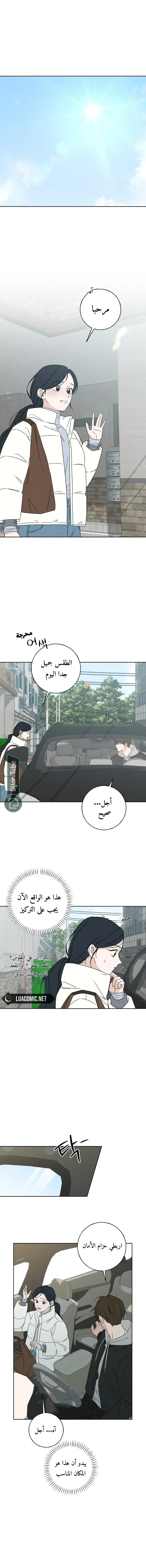 الصفحة 11