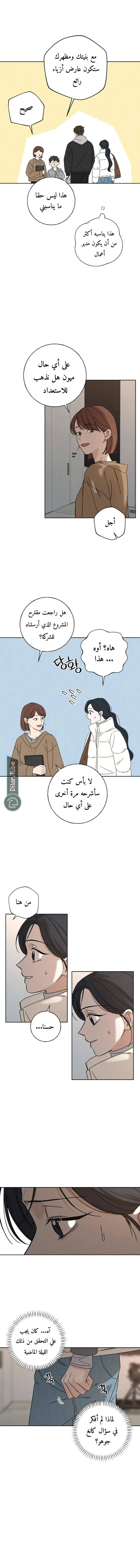 الصفحة 17