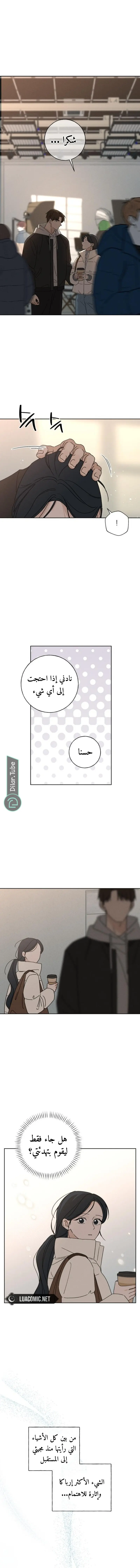 الصفحة 19
