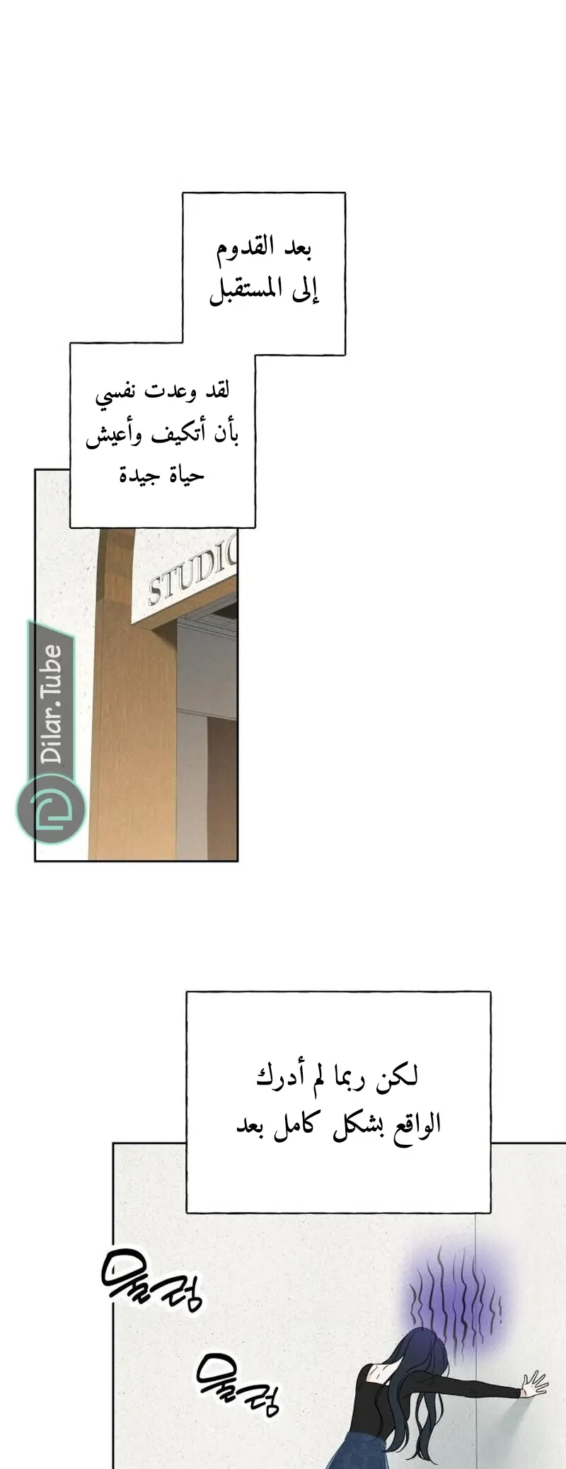 الصفحة 13