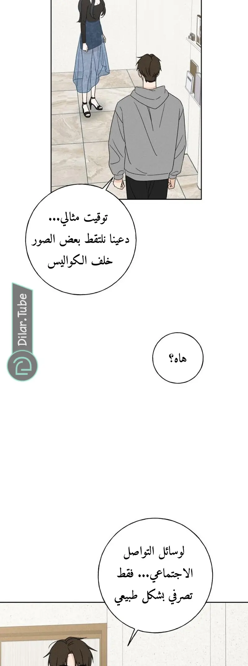 الصفحة 17