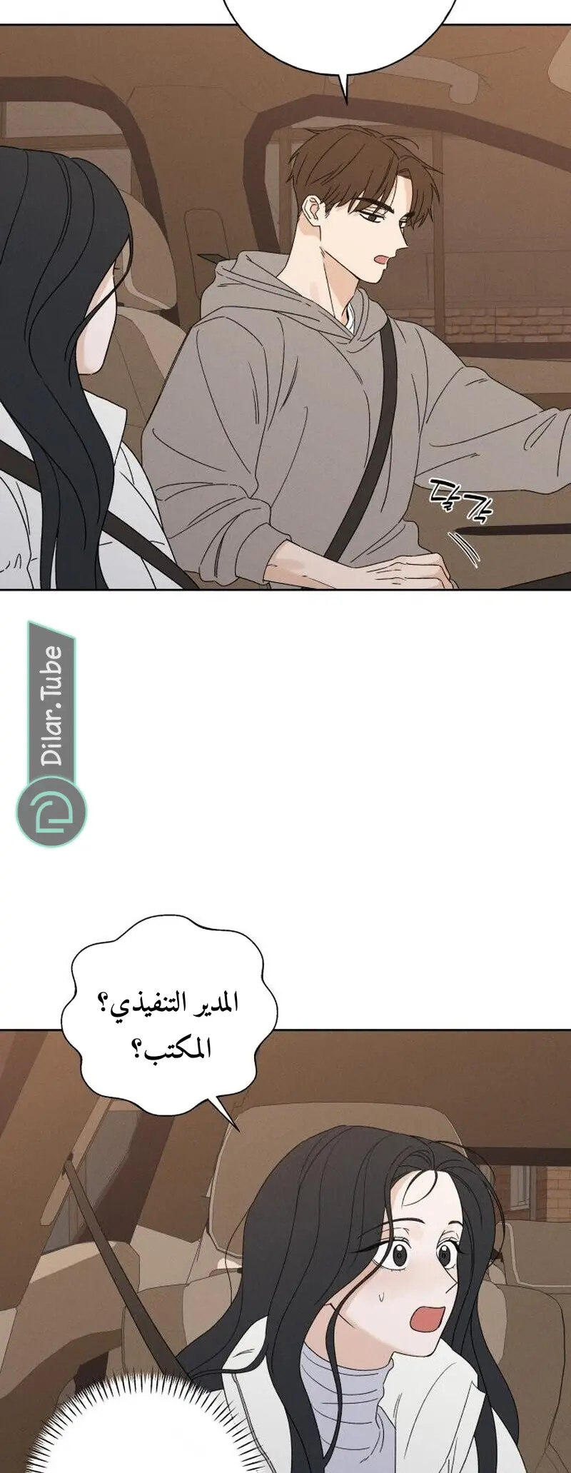 الصفحة 17