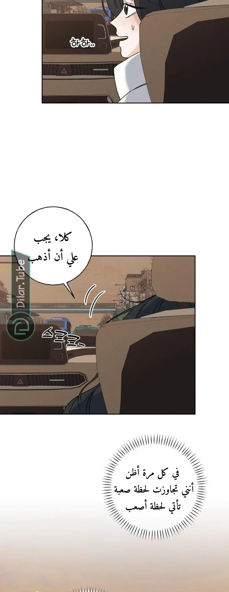 الصفحة 20