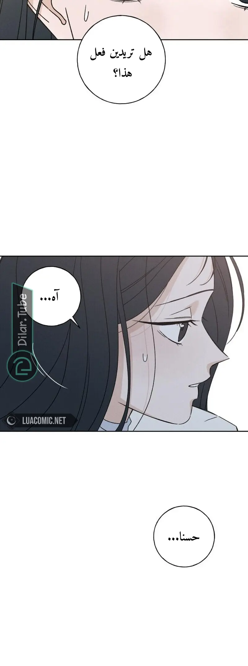 الصفحة 43