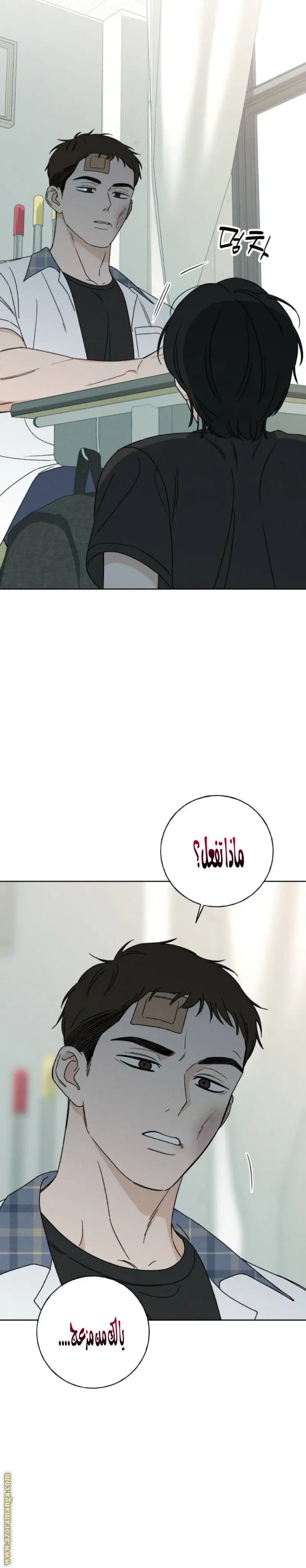 الصفحة 9