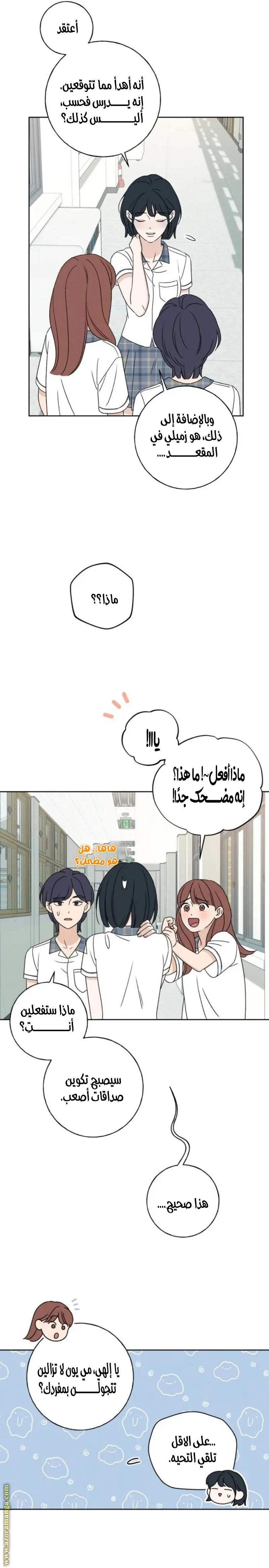 الصفحة 17