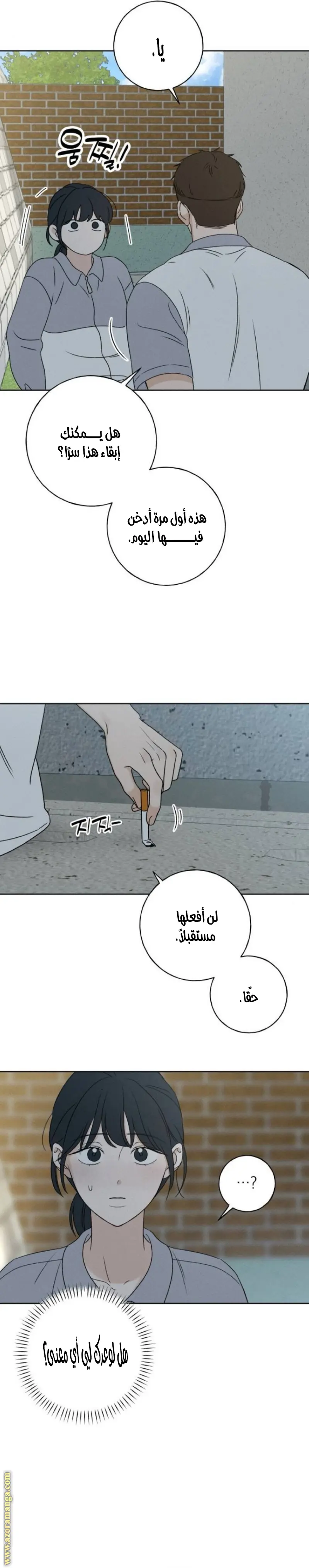 الصفحة 27