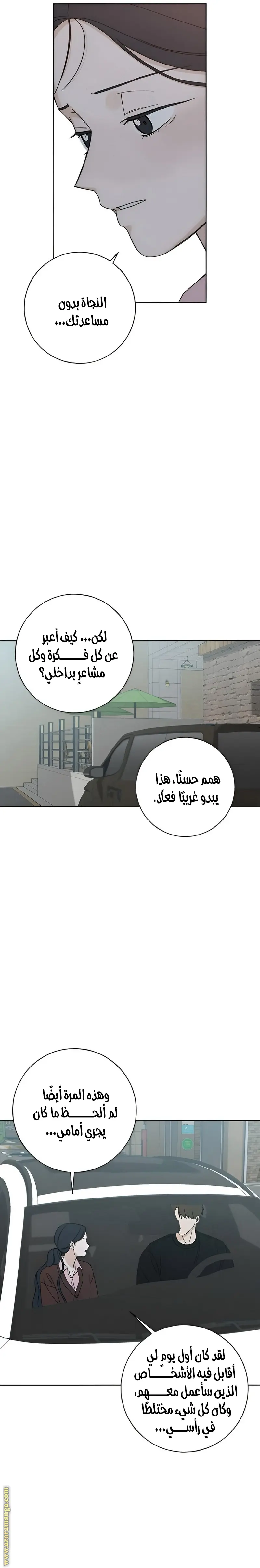 الصفحة 3