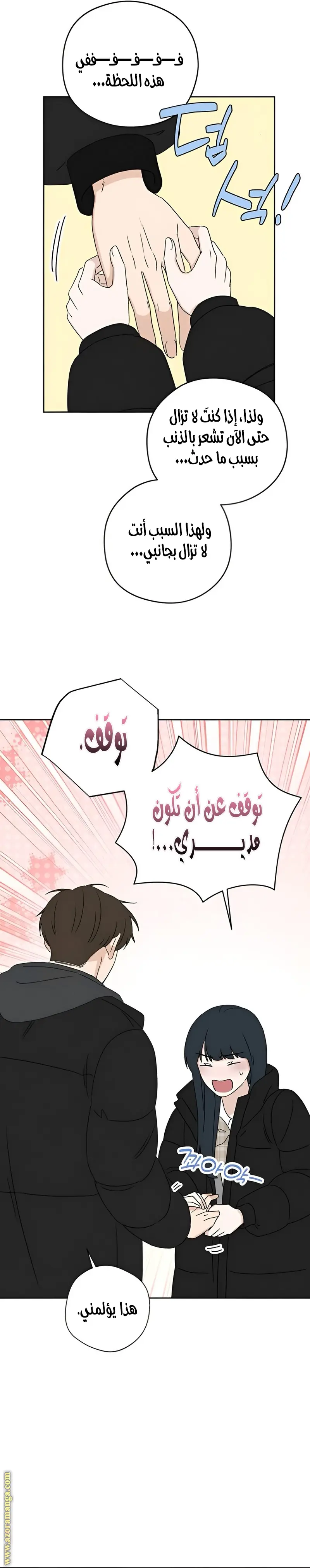 الصفحة 27
