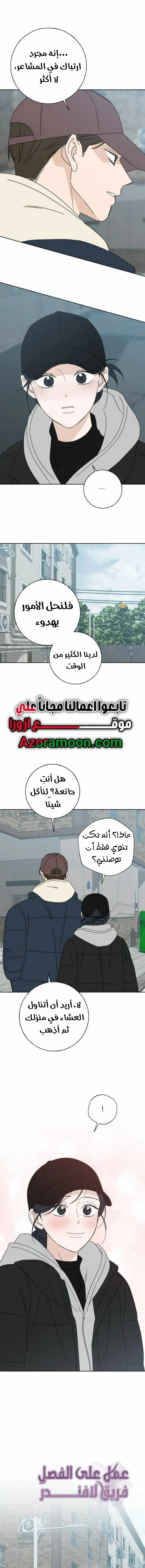 الصفحة 17
