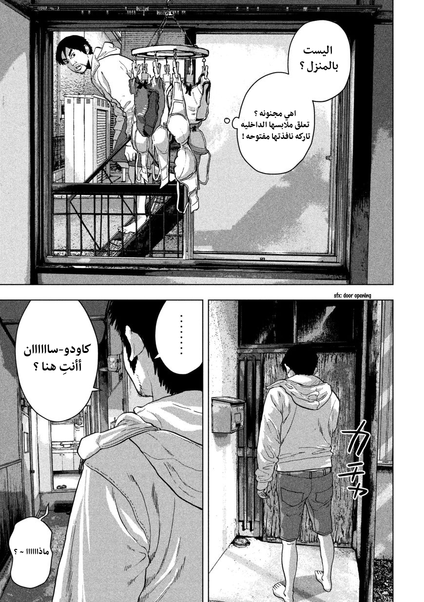 الصفحة 13