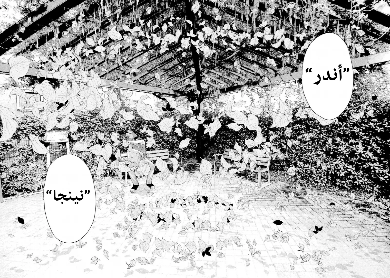 الصفحة 14