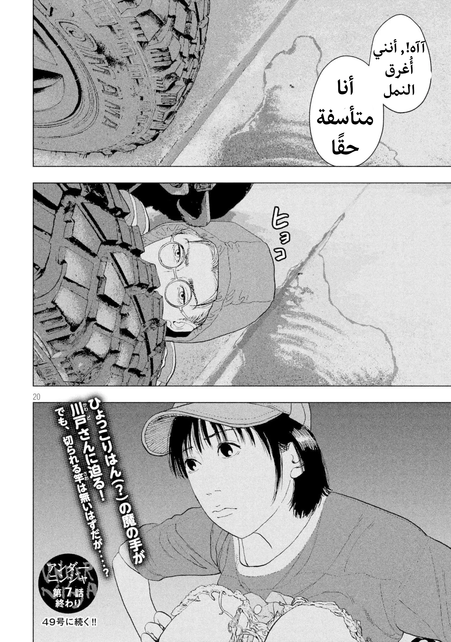 الصفحة 19